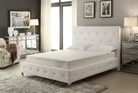 ALOE-6-TM-N PACIFIC Ac Infused Memory Foam Mattress Box Roll