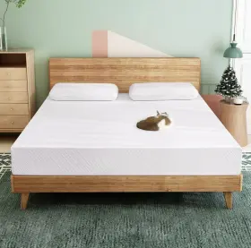 AIR-8EGO-T-3 AIRDOWN Twin Mattress Memory Foam Kids Firm Tea