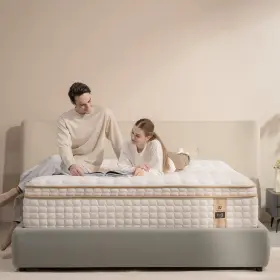 AN-002 ADAMANT NOYAU Mattress Hybrid Box Memory Foam