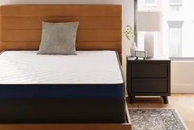 M445 ASHLEY FURNITURE Sierra Sleep Firm Foam Mattress Select