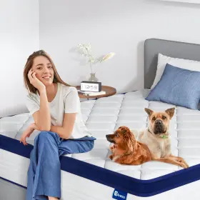 797434980977 AVENCO Queen Mattress Mattresses Box Hybrid #3