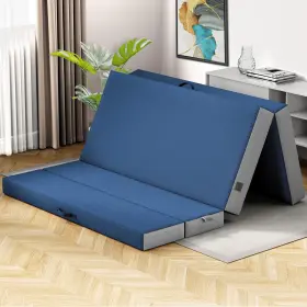 810088313509 COZZZI Mattress Queen Floor Traveling Cover