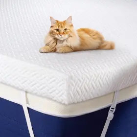 717325587788 DALUVENIX Memory Foam Mattress Topper Queen Gel