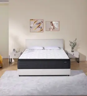 313046354328 DEHIJU Queen Mattress Hybrid Memory Foam Box