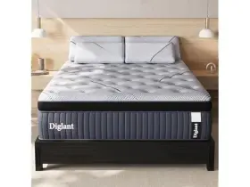 850064762518 DIGLANT Firm Hybrid Queen Mattress