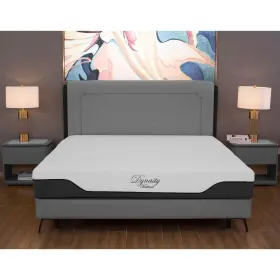 CB12-MFIRM-QN-US-U-A DYNASTY MATTRESS Coolbreeze Gel Memory
