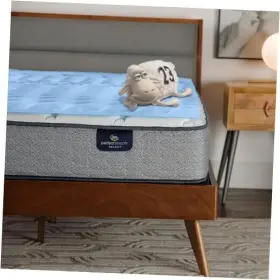 12241 ELITE COMFORT SOLUTIONS Zone Cooling Memory Foam Topper