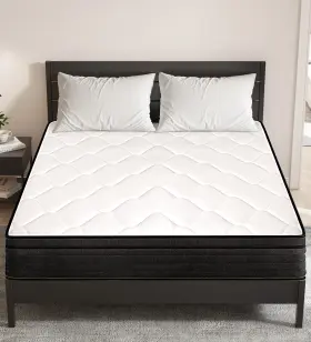 739713125952 ELITSPACE Queen Mattress Memory Foam Hybrid Box