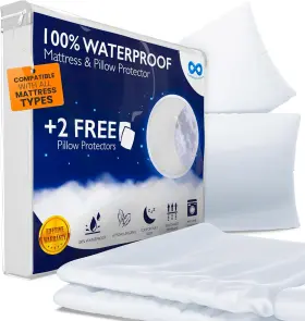 046728408377 EVERLASTING COMFORT Queen Mattress Protector