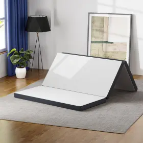 195030106188 FDW Mattress Firm Collaps