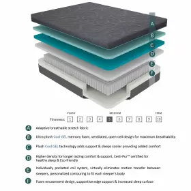 194840014591 FREMONT PARK Chanson Gel Infused Memory Foam #3