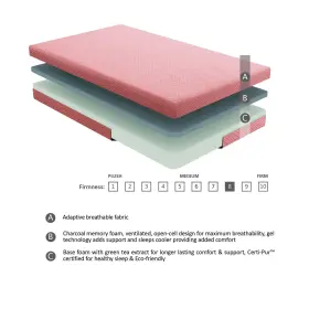 194840046608 FREMONT PARK Lay Gel Infused Memory Foam Pink