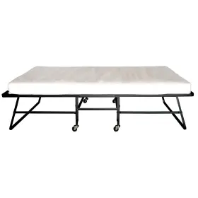 889435698316 FURNITURE OF AMERICA Feld Contemporary Steel Bed