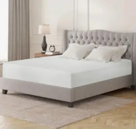 DM540-EK FURNITURE OF AMERICA Nasturtium Memory Foam Mattress