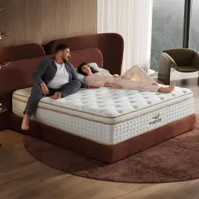 M1-1 HEALNAP Queen Hybrid Mattress Box Memory Foam Firm