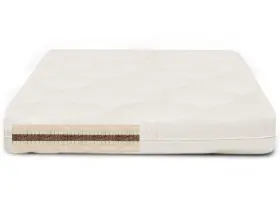 Cocopedicq HONEST SLEEP Cocopedic Mattress Queen