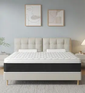 ADD-Q10 JBJ Queen Mattresses Memory Foam Hybrid Mattress Box