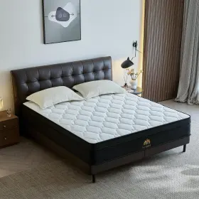 CDDSBH1000011 JDZ-YOVMEE Queen Mattress Hybrid Box Memory