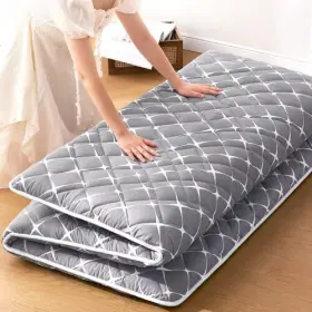 HGT456S JZB Floor Mattress Futon Single Noble #2