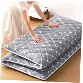 HGT456S JZB Floor Mattress Futon Single Noble