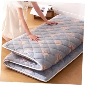 SDL25WWF JZB Foam Floor Mattress Futon Queen Deer