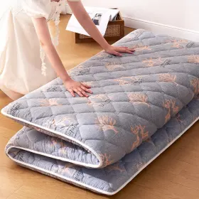 HSKJTTM-01 JZBEARAPT Foam Floor Mattress Futon High Density