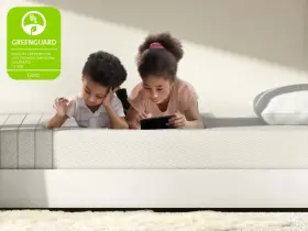 LETR33 LEESA Trundle Mattress Twin