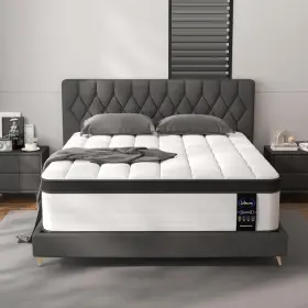 313028517598 LETMOON Queen Mattress Hybrid Mattresses Box