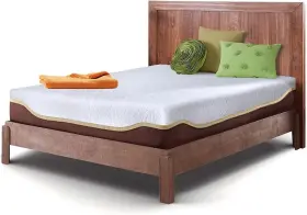 712265519837 LIVE AND SLEEP Resort Elite Queen Firm Cooling