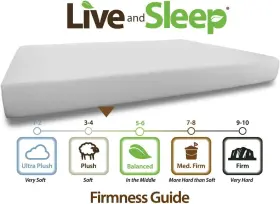 850009703668 LIVE AND SLEEP Classic Firm Memory Foam Mattress #3