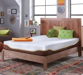 850009703859 LIVE AND SLEEP Elite Twin Mattress Gel Memory