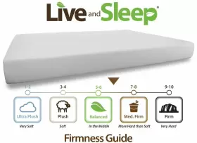 708022673287 LIVE SLEEP Resort Classic Twin Mattress Box Foam #2