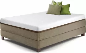712265519929 LIVE SLEEP Firm Gel Memory Foam Mattress Queen