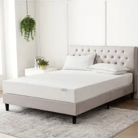 810128506083 MAINSTAYS Firm Memory Foam Mattress Queen