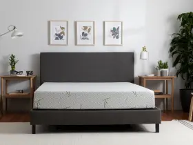V000252861 MLILY Tulo Memory Foam Pressure Relief Mattress