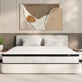 MBS-12Q-01 MOLBIUS Queen Mattress Hybrid Mattresses Box Firm