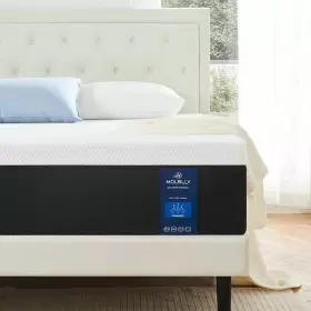 652508492315 MOLBLLY Gel Memory Foam Mattress Queen