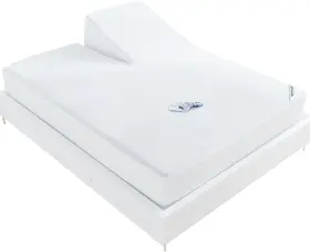 MOON0001 MOONSEA Split Head King Mattress Protector