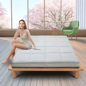 1332529281-1 NAIZEA Twin Floor Tatami Mattress Futon Pad