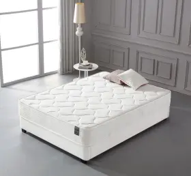 812505033854 OLIVER SMITH SINCE 1921 Firm Sleep Memory Fo