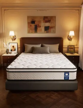 HT02006BWKUS OM VASUDHARE King Mattress Memory Foam Hybrid