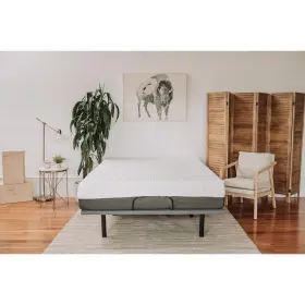 OG1246 OMNE SLEEP Gel Memory Foam Top Mattress