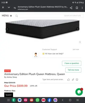42131 QUEENS Mattress Ashely Furniture