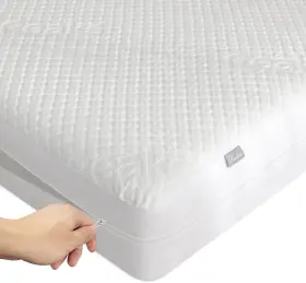 616361135031 REAKS Queen Rayon Mattress Protector Zipper