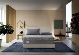 RA10125 S-MN COMPANY Cozify Queen Hybrid Mattress Rest Box