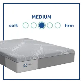 52816862 SEALY King Memory Foam Mattress #3