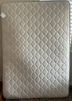 4110012-1030 SEEPINC Clarion Dream Big Twin Firm Innerspring