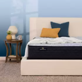 500302221-9950 SERTA Sleeper Queen Mattress Set Foundation #2
