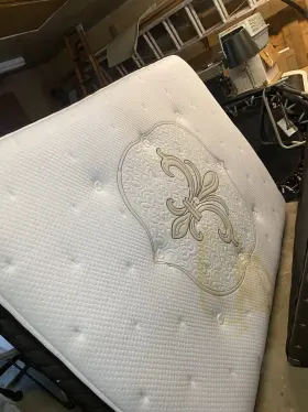 SAF38527 STEARNS FOSTER Emily Top Firm Mattress #2