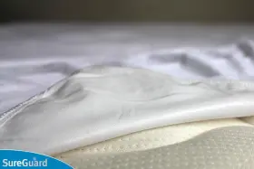753677149922 SUREGUARD MATTRESS PROTECTORS Queen Protector #3